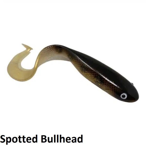 Gator Catfish 25cm (Spotted Bullhead)